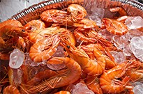 中国鸡肉总产量占据世界第二位